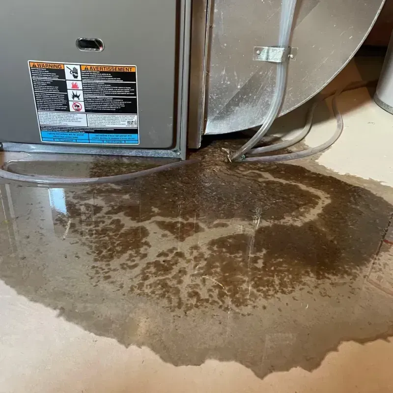 Appliance Leak Cleanup in Carol City, FL